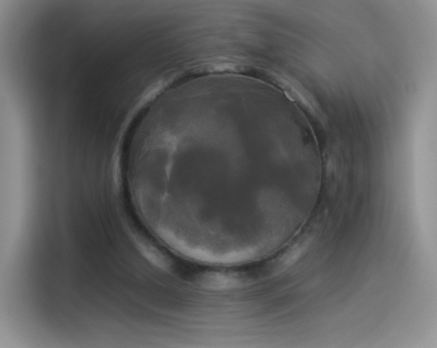 X0000114110250200910131348