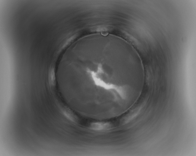 X0000114110251200910131348
