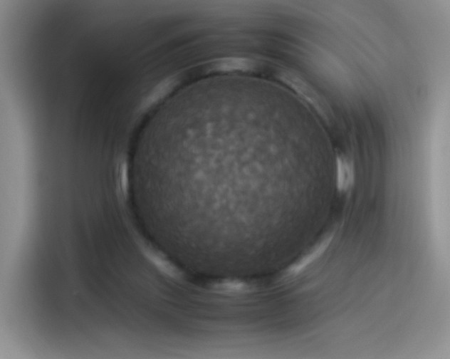 X0000114110253200910131348