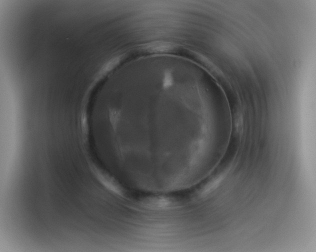 X0000114110254200910131348