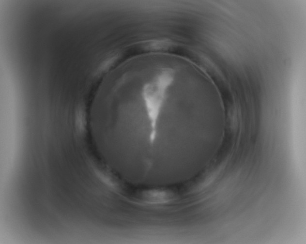 X0000114110255200910131348