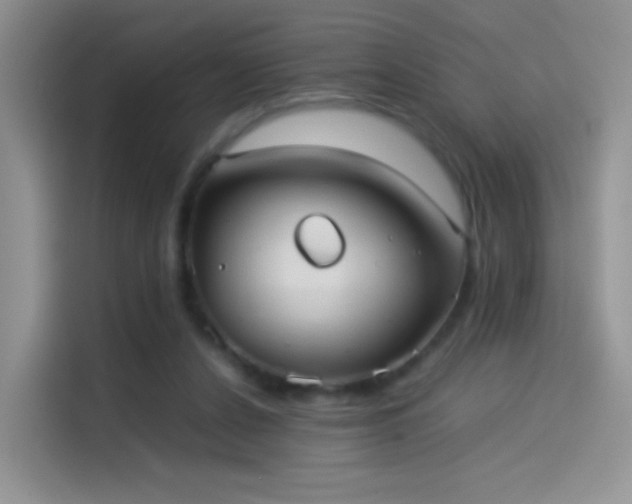 X0000114110256200910131348