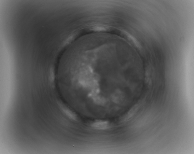 X0000114110257200910131348