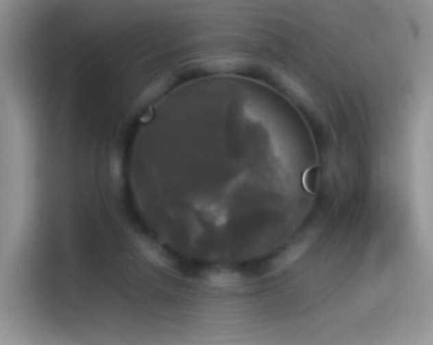 X0000114110258200910131348