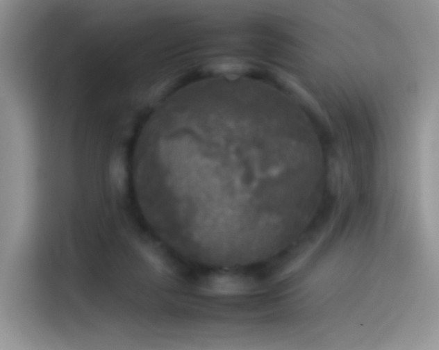X0000114110259200910131348