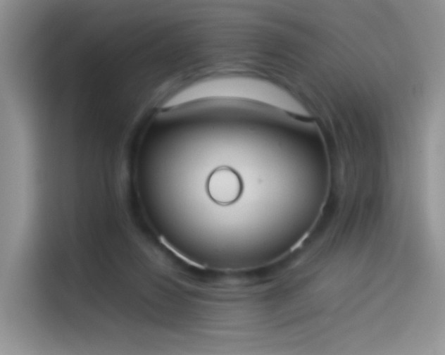 X0000114110260200910131348