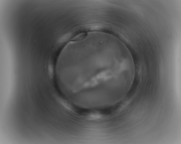 X0000114110262200910131348
