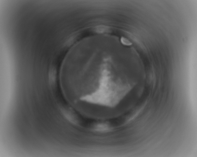 X0000114110263200910131348