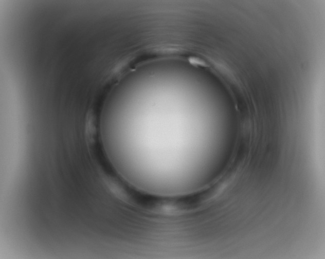 X0000114110264200910131348