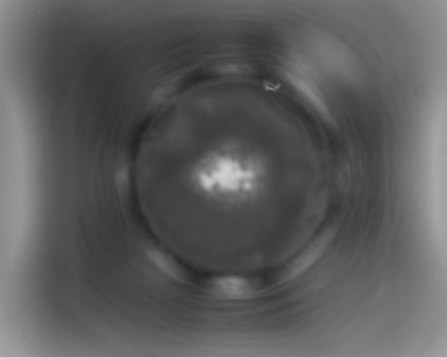 X0000114110265200910131348