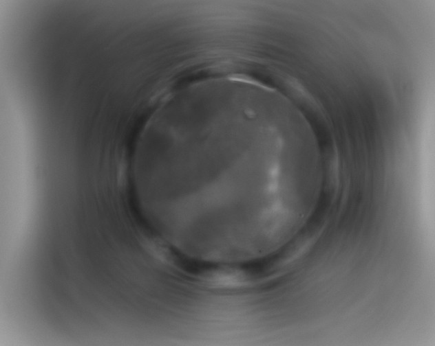 X0000114110266200910131348