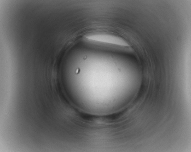 X0000114110268200910131348