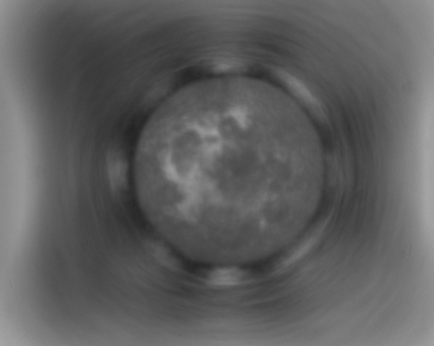 X0000114110269200910131348
