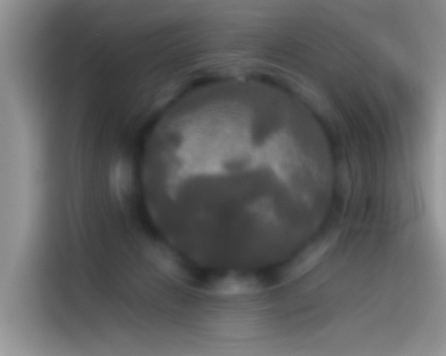X0000114110270200910131348