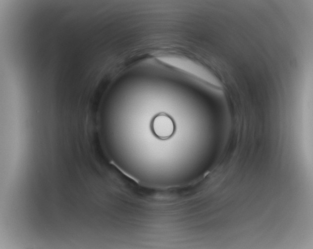 X0000114110272200910131348