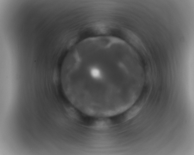 X0000114110274200910131349