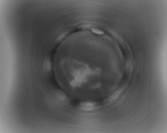 X0000114110282200910131349