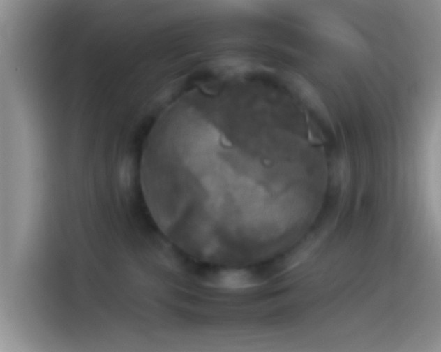 X0000114110283200910131349