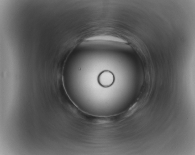 X0000114110284200910131349