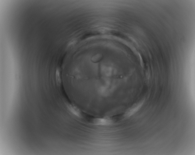 X0000114110286200910131349
