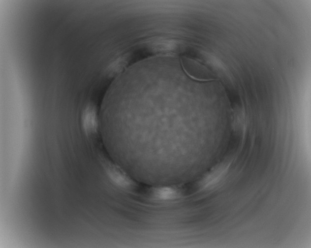 X0000114110287200910131349