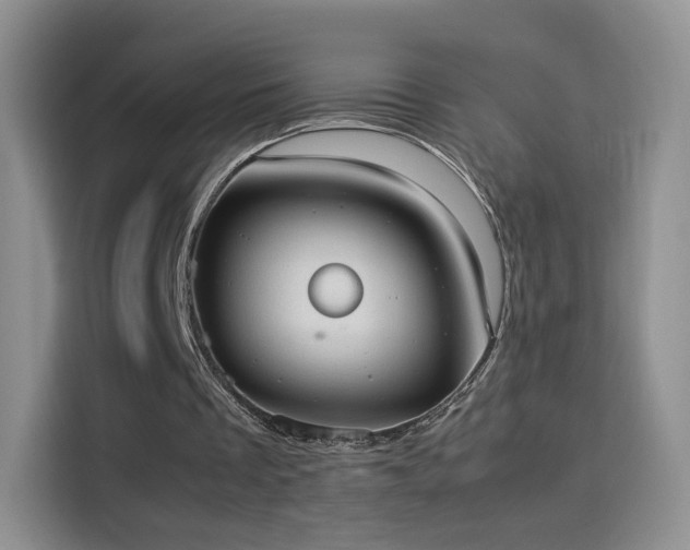 X0000114110289200910131348