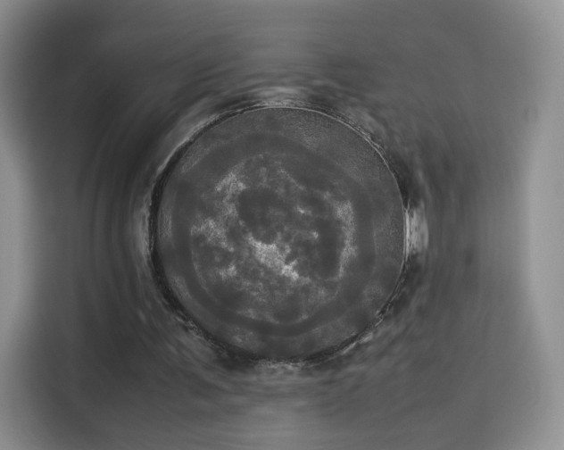 X0000114110291200910131348