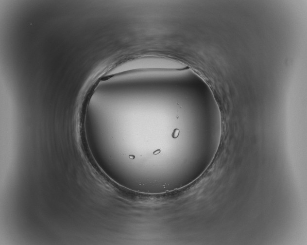 X0000114110293200910131348