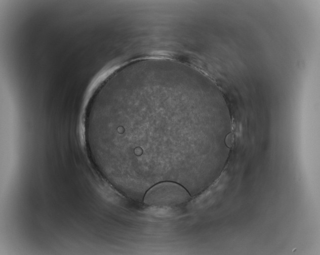 X0000114110294200910131348