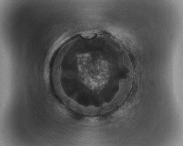 X0000114110295200910131348