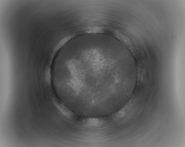 X0000114110298200910131348