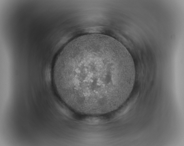 X0000114110299200910131348