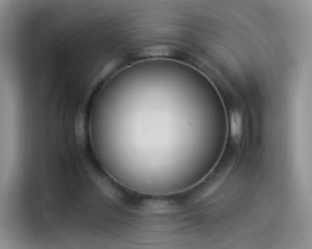 X0000114110300200910131348