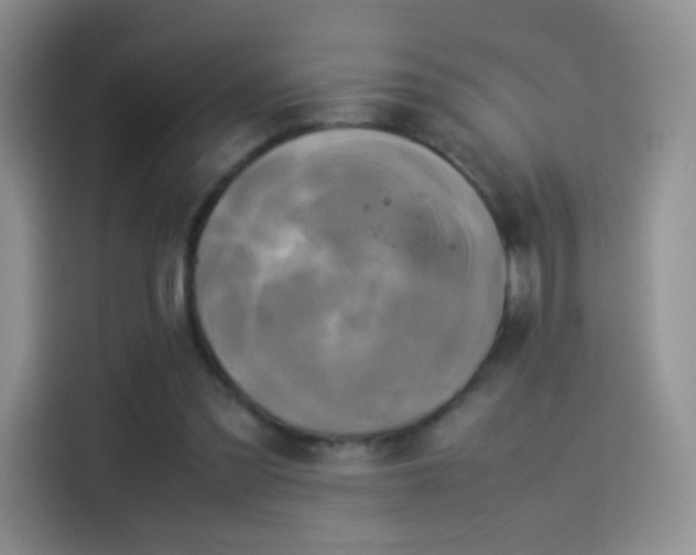 X0000114110301200910131348