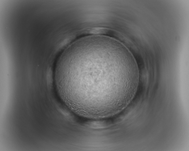 X0000114110303200910131348