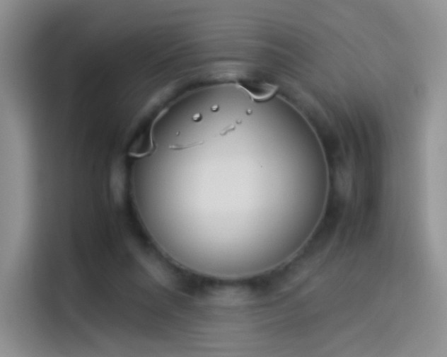 X0000114110304200910131348