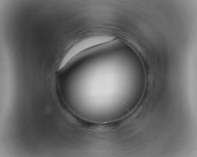 X0000114110305200910131348