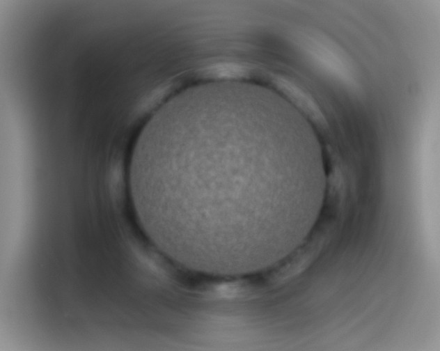 X0000114110306200910131348