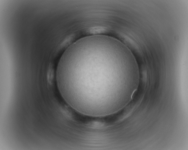 X0000114110308200910131348