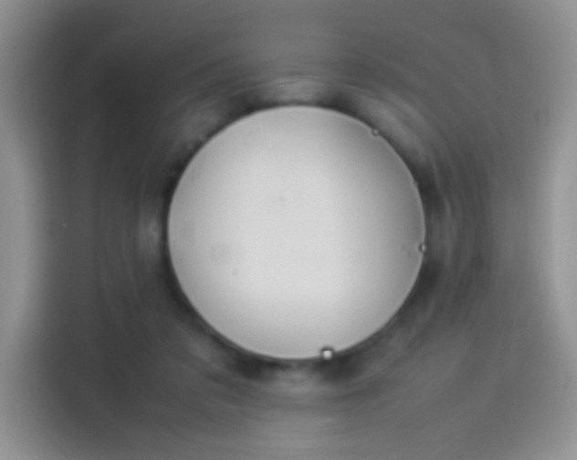 X0000114110309200910131348