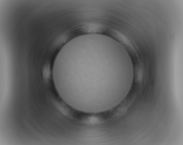X0000114110310200910131348