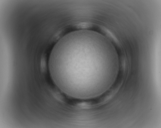 X0000114110312200910131348