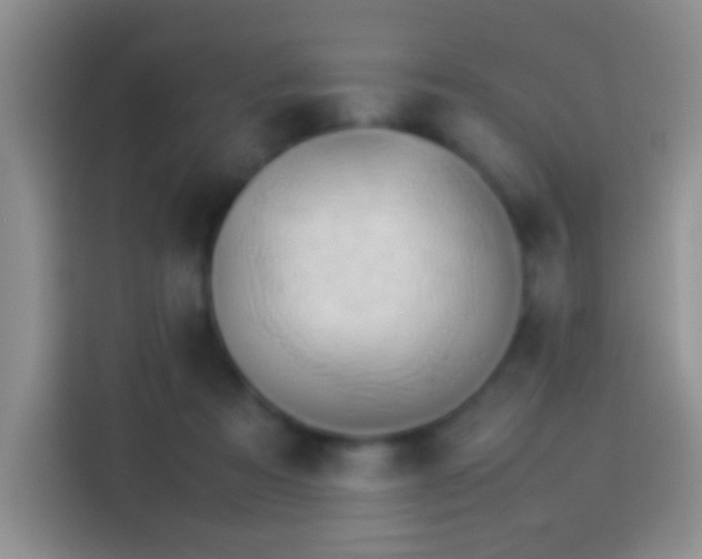 X0000114110313200910131348