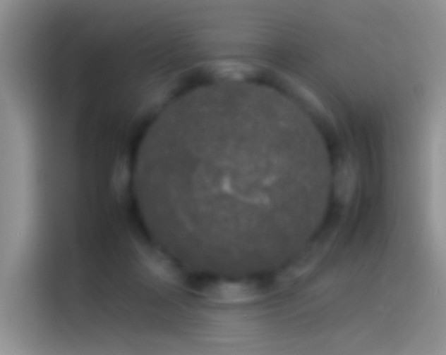 X0000114110314200910131348