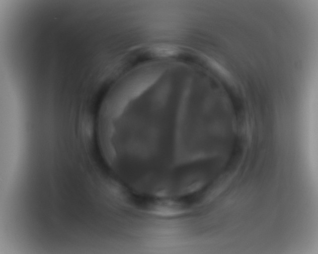 X0000114110315200910131348