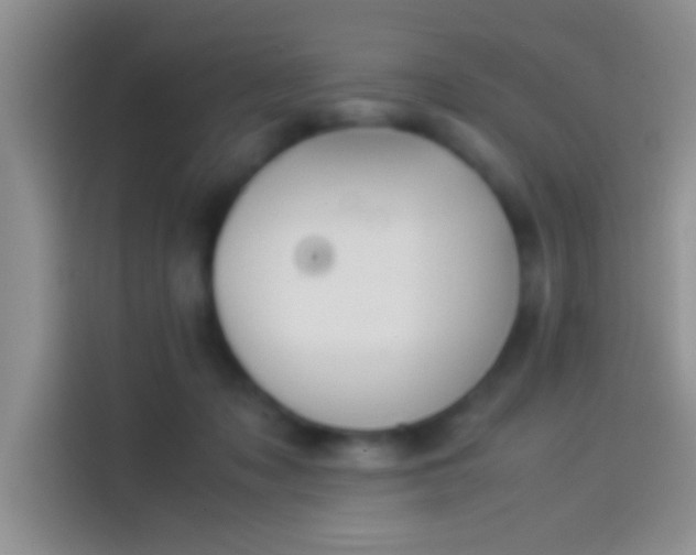 X0000114110317200910131348