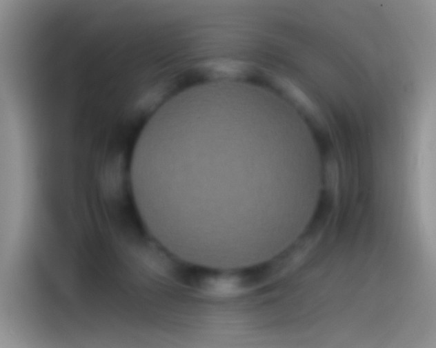 X0000114110318200910131348