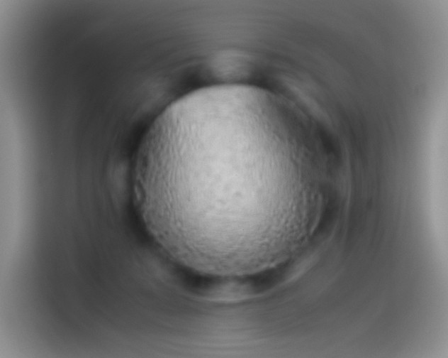 X0000114110319200910131348