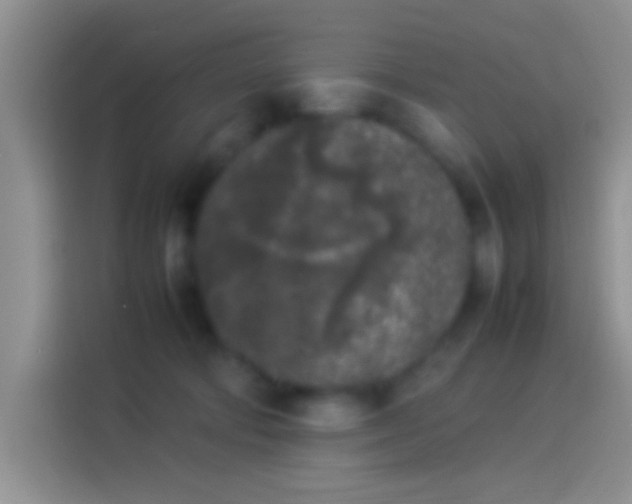 X0000114110322200910131348