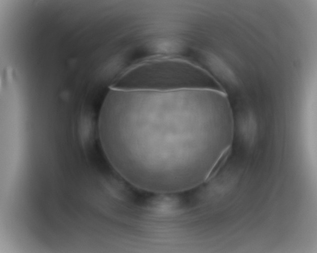 X0000114110328200910131348